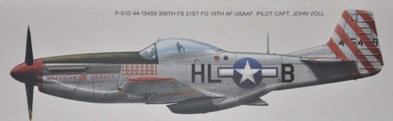 North American P-51D Mustang Fighter model_meng_ls006_image_1-image_Meng_LS-006_3