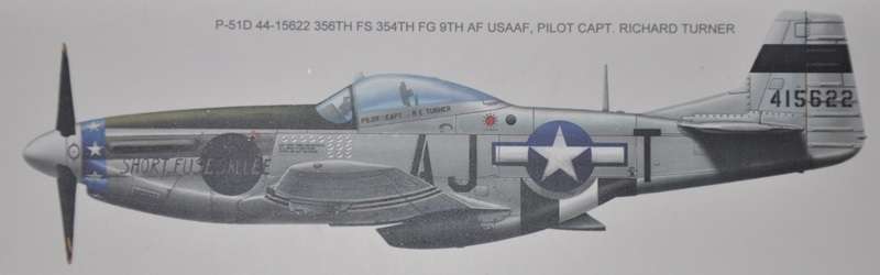 North American P-51D Mustang Fighter model_meng_ls006_image_2-image_Meng_LS-006_3